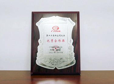 GAC- Trumpchi Excellent Cooperation Award